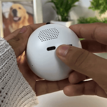 Esfera Mágica de Vídeo